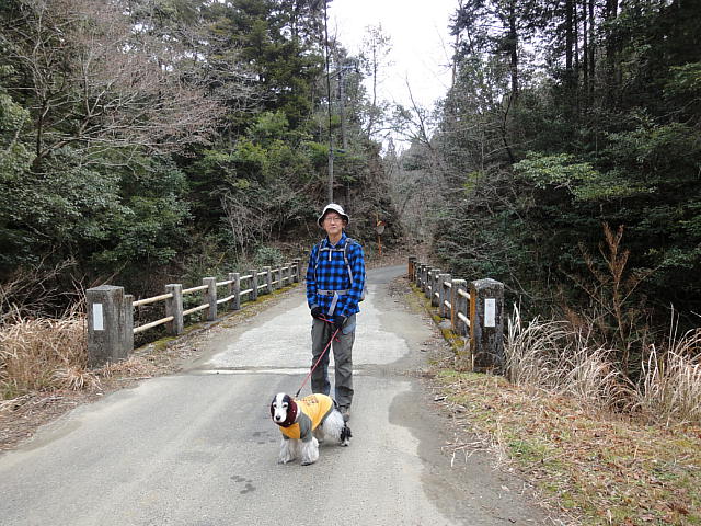 元清澄山・田代林道